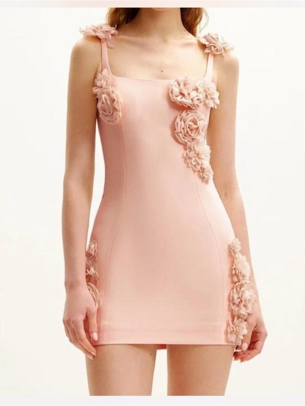 JW PEI Elaina Rossette Aplique  Mini Dress apricot